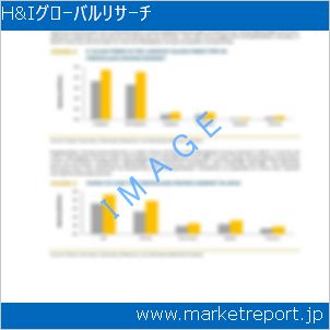市場と産業調査レポートのイメージ